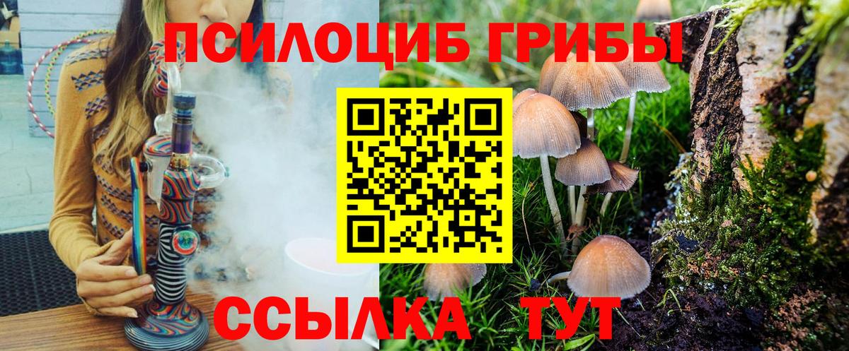 Сургут  Галлюциногенные грибы прущие грибы  Вход с VPN 
